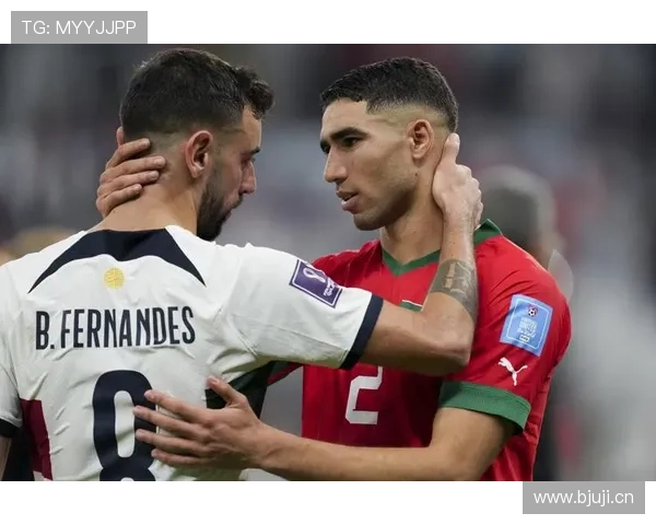 阿什拉夫：对比阿诺德——冲击型与组织型边卫差异